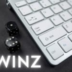 9Winz review: All Secrets of an Amazing Indian Gambling Platform on a Single Page IMG_3981